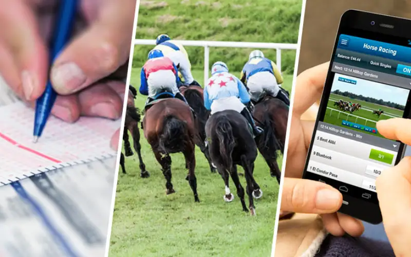 Horse Racing Games