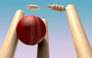 Online Cricket